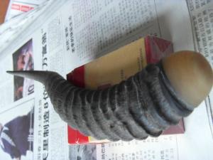 黄羊角