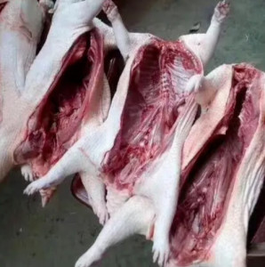 豪猪肉