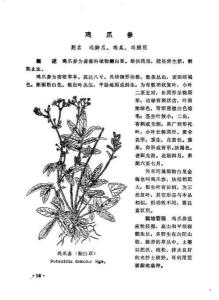 详细解释