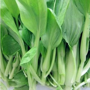 鸡毛菜