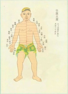 任脉