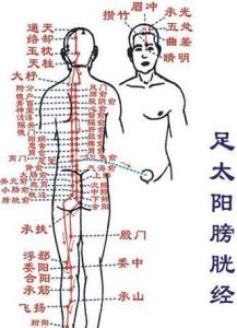 足太阳膀胱经