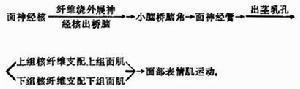 迟发性运动障碍