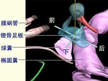 阿斯匹林不耐受三联症