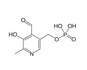 维生素B6