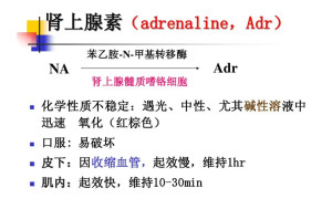 肾上腺素