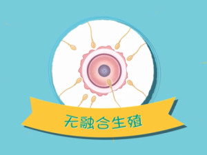 无融合生殖
