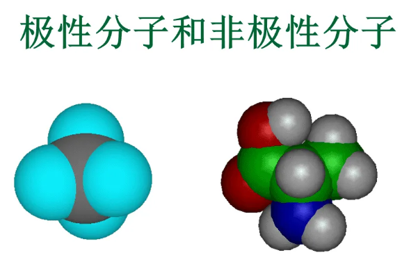 极性