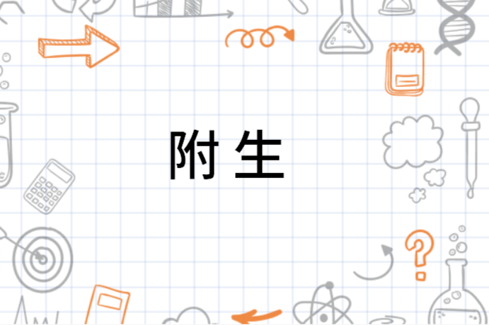 附生